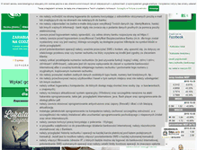 Tablet Screenshot of bskamgora.pl